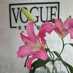 VOGUE STUDIO
