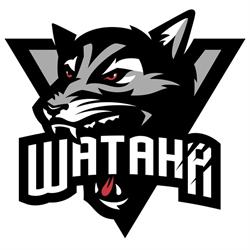 Wataha