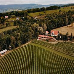 WINNICA NOWIZNY