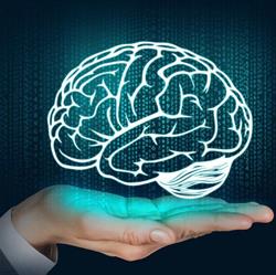 WYSOKIŃSKA MAŁGORZATA EEG BIOFEEDBACK MAŁGORZATA WYSOKIŃSKA
