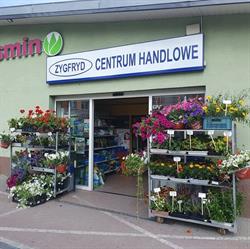 ZYGFRYD CENTRUM HANDLOWE BEDNARKIEWICZ ZYGFRYD