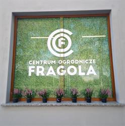 Fragola Sp. z o.o.