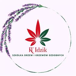 K. i T. Idzik Szkółka drzew i krzewów ozdobnych, projektowanie, zakładanie, utrzymanie ogrodów