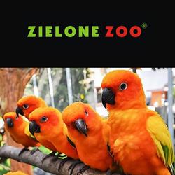 Zielone ZOO NoVa Park