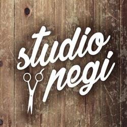 Studio fryzjerskie Pegi