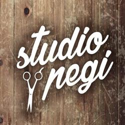 Studio fryzjerskie Pegi