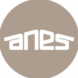 Biuro Projektowe Konstrukcyjne Z.U.P. ANES