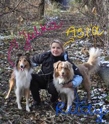 "Moje Marzenie" Psi Pensjonat Joanna Bodzinowska