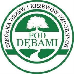 Pod dębami