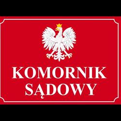 Komornik Sądowy przy Sądzie Rejonowym dla Łodzi-Widzewa w Łodzi Kamil Pietrasik