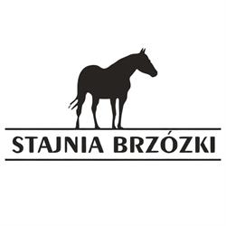Gospodarstwo Agroturystyczne STAJNIA Maja Polikowska