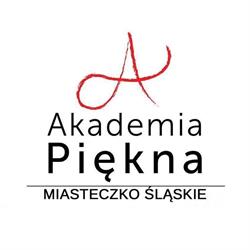Akademia Piękna Michał Hetmańczyk