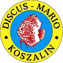 DISCUS-MARIO