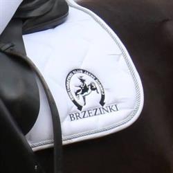 Świętokrzyski klub jazdy konnej Brzezinki