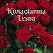 Kwiaciarnia Leśna