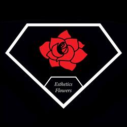 Kwiaciarnia Esthetics Flowers