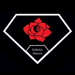 Kwiaciarnia Esthetics Flowers
