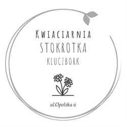 Kwiaciarnia Stokrotka