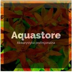 Aqua Store Poznań