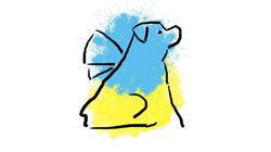 Fundacja Skrzydlaty Pies