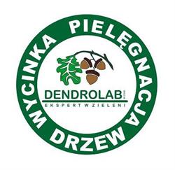 Dendrolab