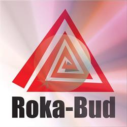 Ro-Ka Sp. z o.o. Zakład Remontowo-Budowlany "Roka-Bud"