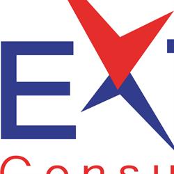 Extend Consulting Group Sp. z o.o. w Organizacji