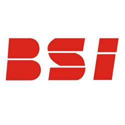 BSI. Biuro Szybkiej Interwencji sp.j. Z. Mroczek i wspólnicy