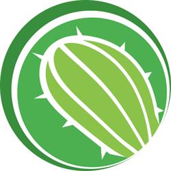 Kaktus
