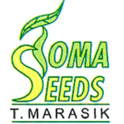 "Toma Seeds" Tomasz Marasik