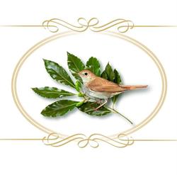"Ristorante L'usignolo"