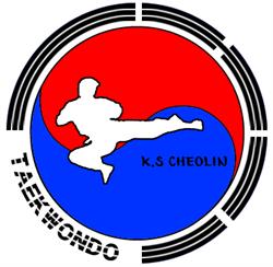 TAEKWONDO CHEOLIN KANG