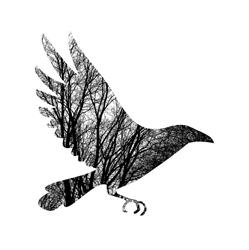 "E.Corax" Sp. z o.o.