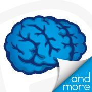 Brainshake One Sp. z o.o. sp.k.