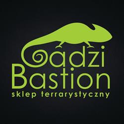 Gadzi Bastion Paulina Gwiazda