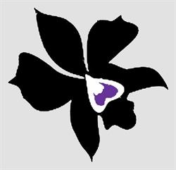 Kwiaciarnia Artystyczna Czarna Orchidea
