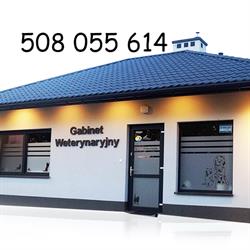 Gabinet weterynaryjny GOLDEN