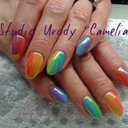 Studio Urody ''Camelia''