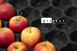 Prinest Sp. z o.o.