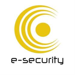 YOUNG PROFESSIONALS SECURITY POLAND SP Z O O
