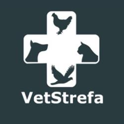 VetStrefa Kamil Mazurek - Gabinet Weterynaryjny, Weterynarz Psów i Kotów, Leczenie Drobiu i Gołębi