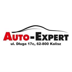 AUTO-EXPERT
