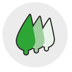 Gospodarstwo Szkółkarskie Gorgolewscy