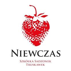 Kwalifikowana Szkółka Sadzonek Truskawek Józef Niewczas