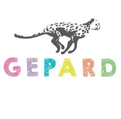 GEPARD Gabinet Integracji Sensorycznej