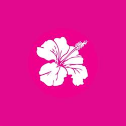 Hotel & Restauracja Hibiskus