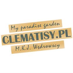 Clematisy M.K.J. Wędrowscy Sp. z o.o.