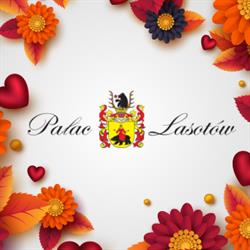PAŁAC LASOTÓW