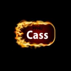 CASS Sprzedaż Pelletu Kazimierz Borowski