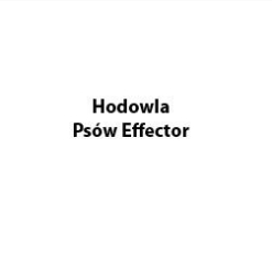 Hodowla Psów Effector Wioletta Kamińska